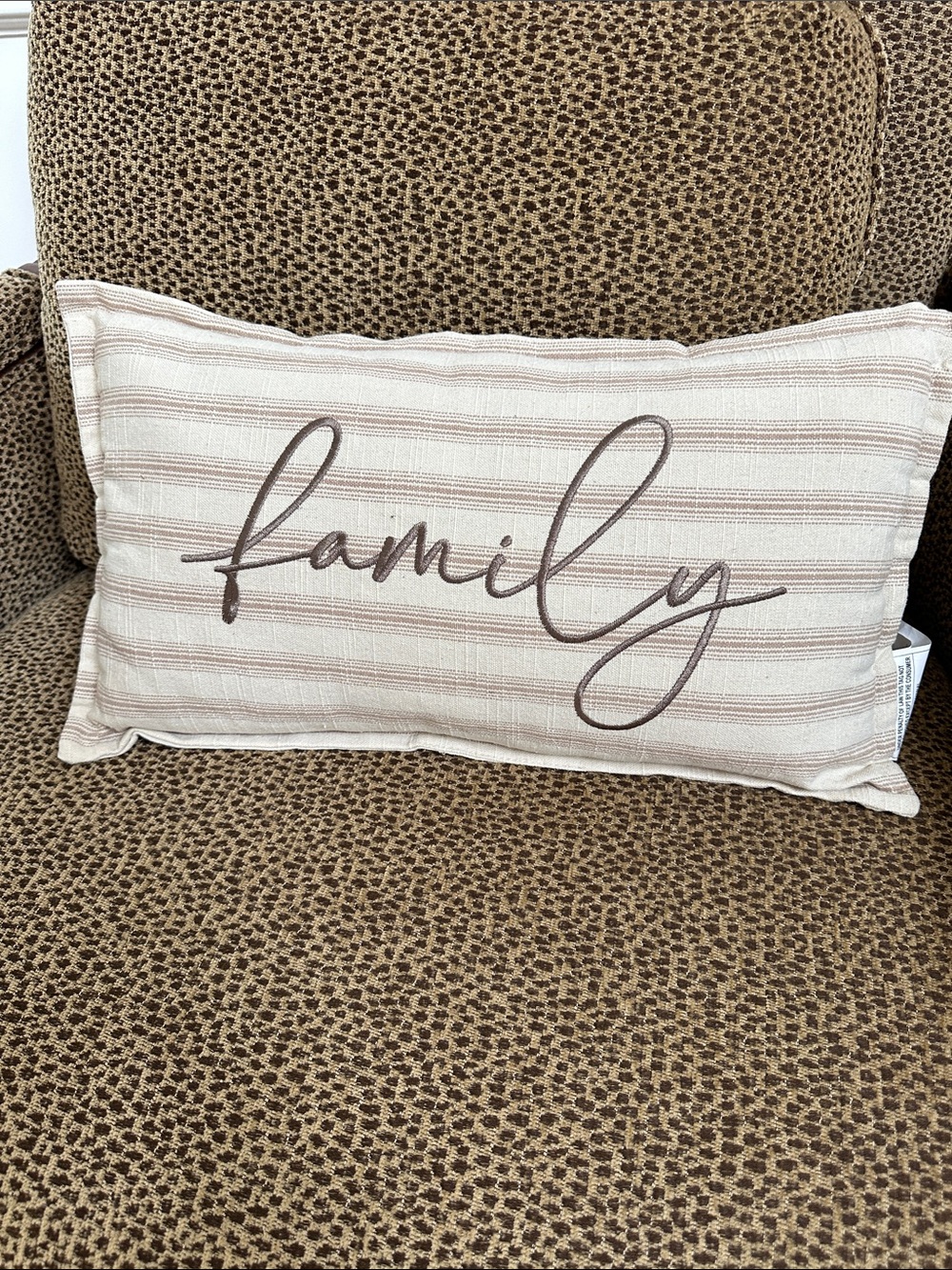!it jeans Cream and Brown "Family" Accent Pillow